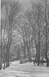 VIII.Midwinter[1]