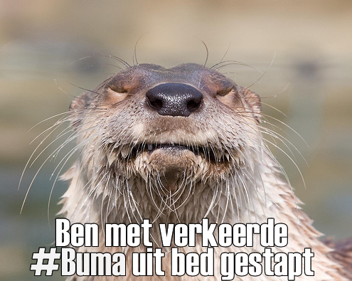 buma-been