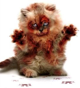 horrorcat horrorcat