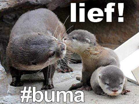 lief_buma