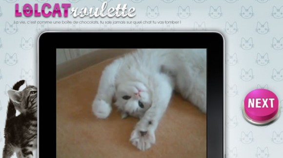 lolcatroulette